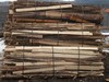 palivové dřevo-odřezky v kůře
